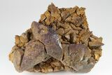 Calcite Crystals With Purple (Yttrofluorite?) Fluorite #177684-1
